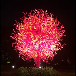 Meet your Posher, Jane